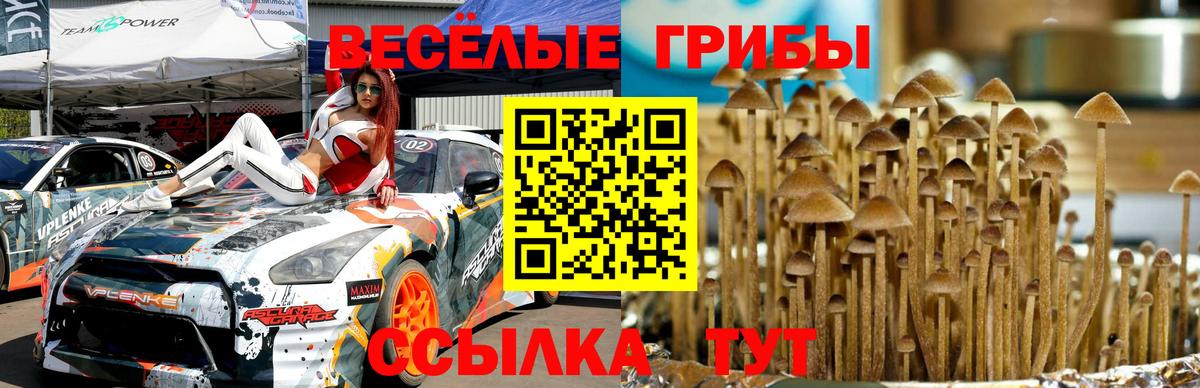 Ленинск-Кузнецкий  цена   Вход с VPN  Галлюциногенные грибы Magic Shrooms  Псилоцибиновые грибы мицелий 